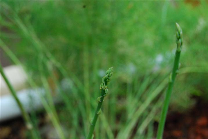 DSC_0033 (Small).JPG