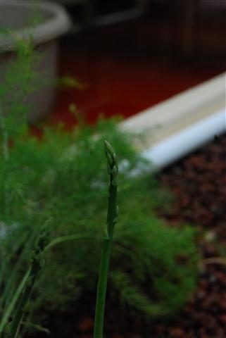 DSC_0034 (Small).JPG