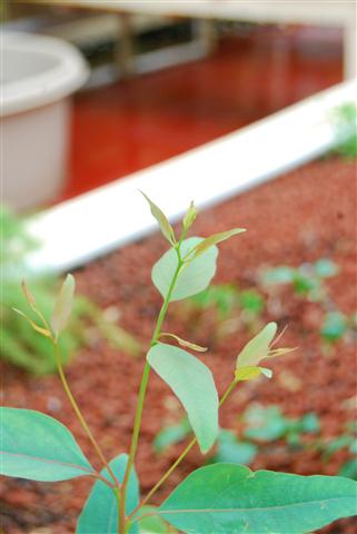 DSC_0038 (Small).JPG