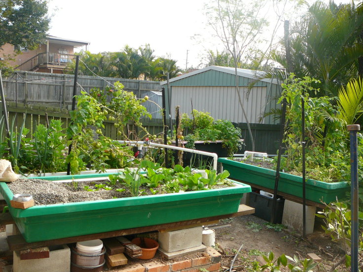 all three growbeds.jpg