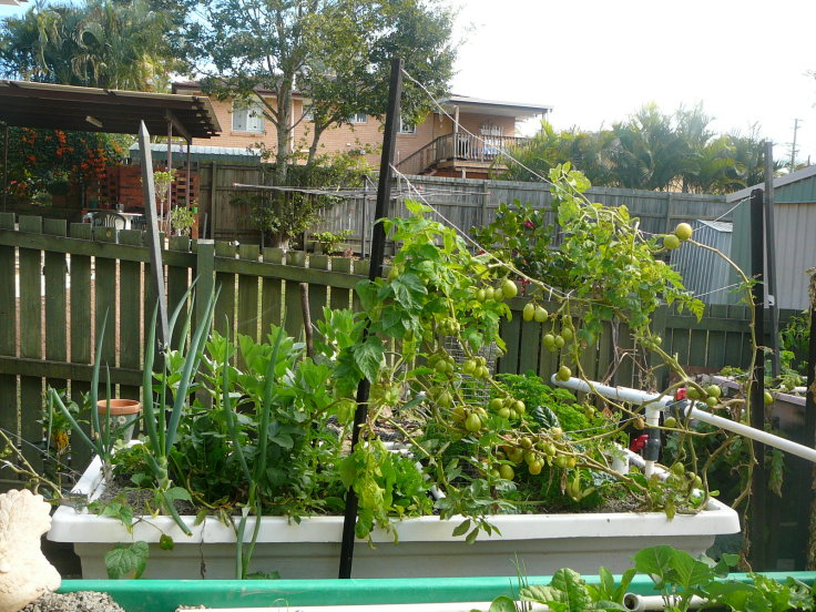 growbed 1 side view.jpg