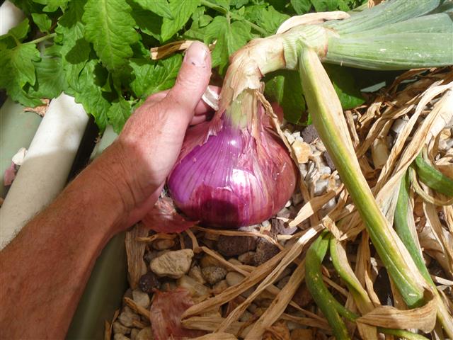 P1010147 (Small).JPG