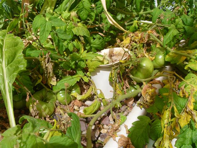 P1010148 (Small).JPG