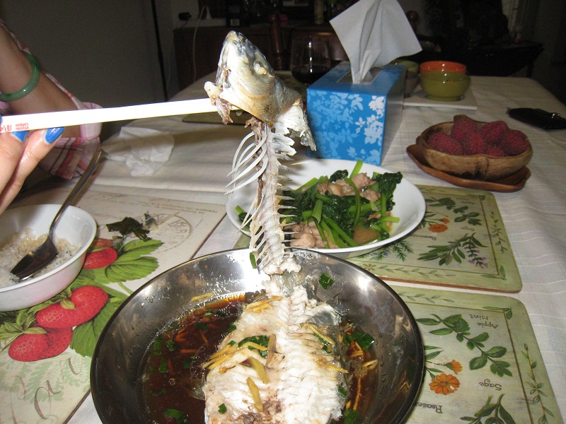 ... lifting away bones..jpg