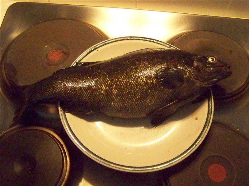 100_7505 (Custom).JPG