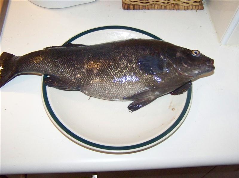 100_7506 (Custom).JPG