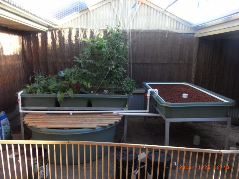 expansionRIMG0001 (800x600).jpg