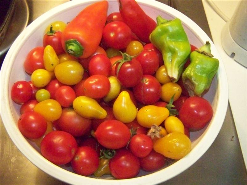 100_7517 (Custom).JPG