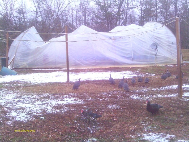 Snow of 2012 Dec 002 (Custom).jpg