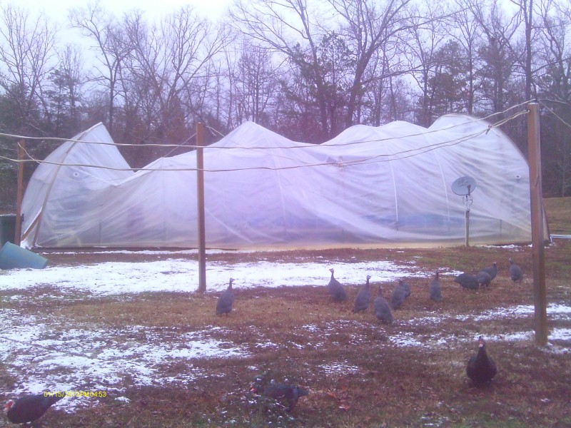 Snow of 2012 Dec 001 (Custom).jpg