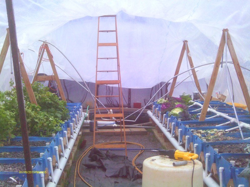 Snow of 2012 Dec 005 (Custom).jpg