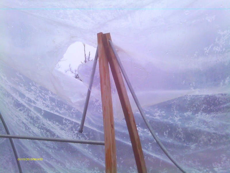 Snow of 2012 Dec 009 (Custom).jpg