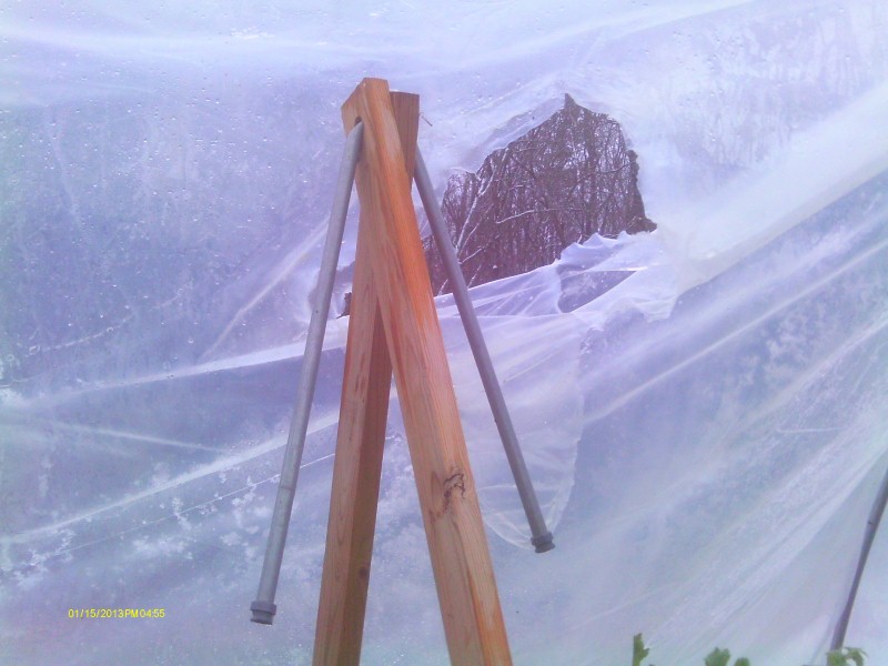 Snow of 2012 Dec 008 (Custom).jpg