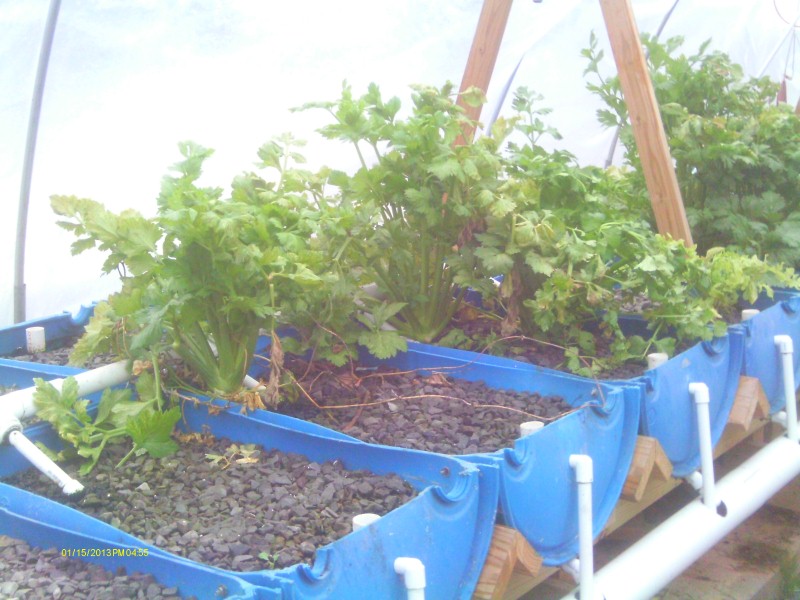 Snow of 2012 Dec 007 (Custom).jpg