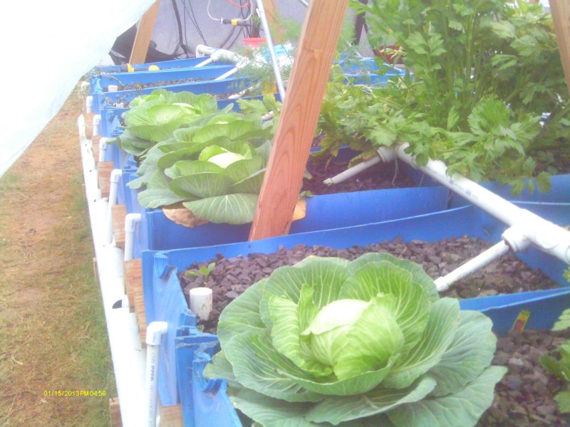 Snow of 2012 Dec 014 (Custom).jpg