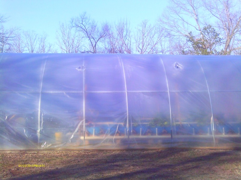 Snow of 2012 Dec 018 (Custom).jpg