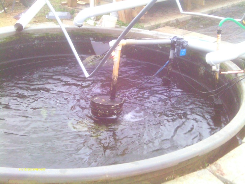 Snow of 2012 Dec 016 (Custom).jpg