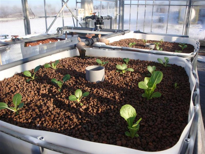 DSC06066 (Medium).JPG