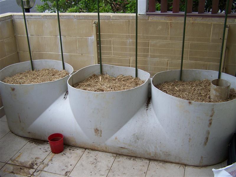 100_7465 (Custom).JPG