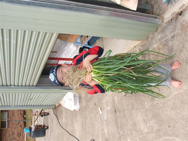 DSCF4252 (Medium).JPG