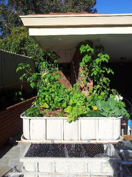 Garage ibc system running on trout..jpg