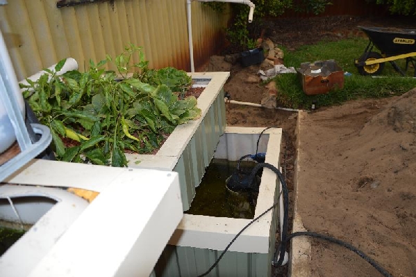 veiw of growbed and sump.jpg