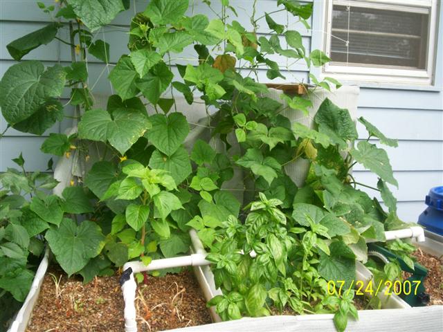 100_0139 (Small).jpg