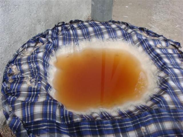 struvite filtering (Small).jpg