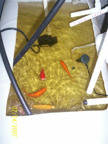 100_0141 (Small).jpg