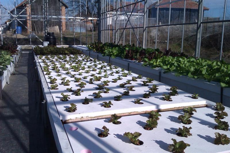 IMAG0212 (Medium).jpg