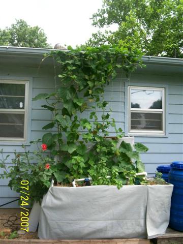 100_0146 (Small).jpg