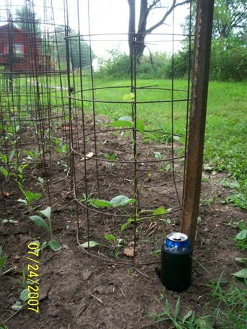 100_0144 (Small).jpg