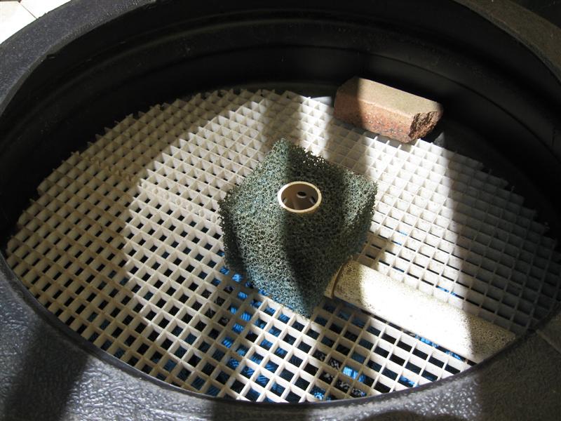 swirl top(Medium).jpg