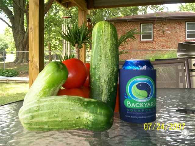 100_0149 (Small).jpg