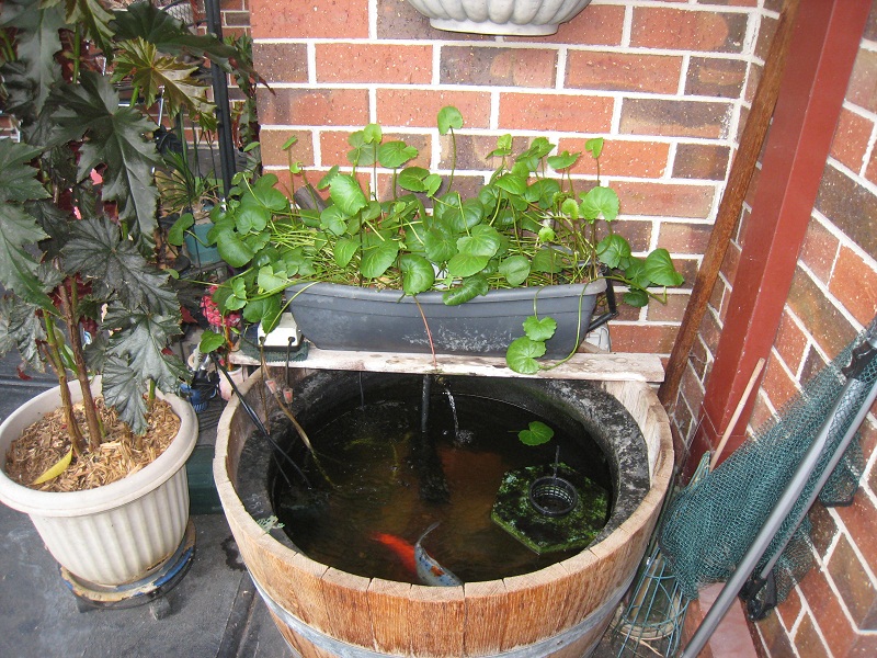 Half Wine Barrel System as at 2_2_13.jpg