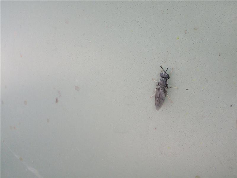 P2090004 (Custom).JPG