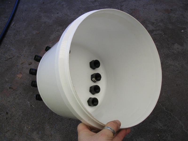 IMG_1687 (Medium).jpg