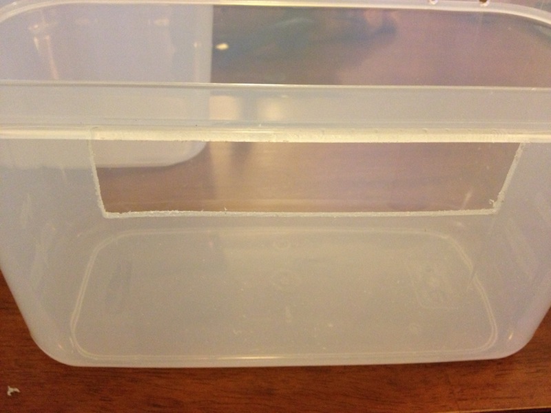 2013-02-10 17.15.55.jpg