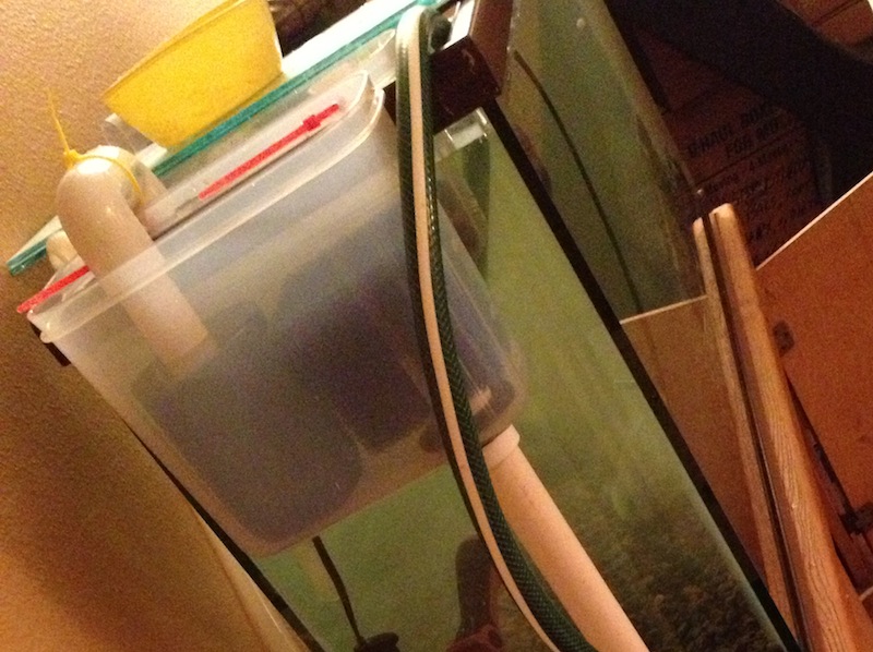 2013-02-10 19.29.32.jpg