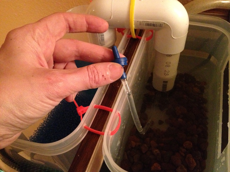 2013-02-10 19.29.51.jpg