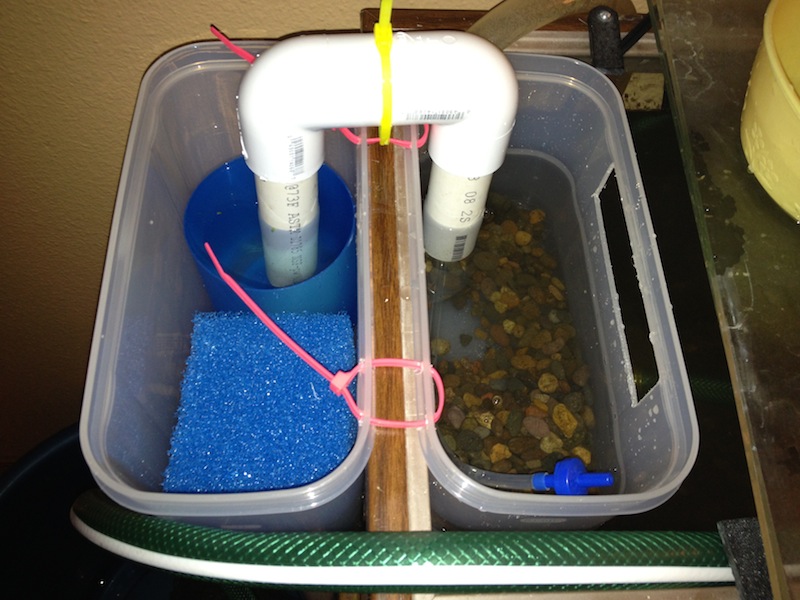 2013-02-10 19.28.41.jpg