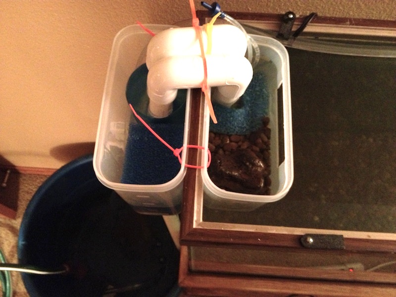 2013-02-10 20.12.03.jpg