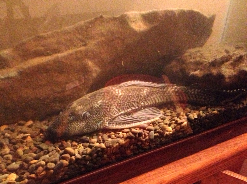 2013-02-10 20.13.30.jpg