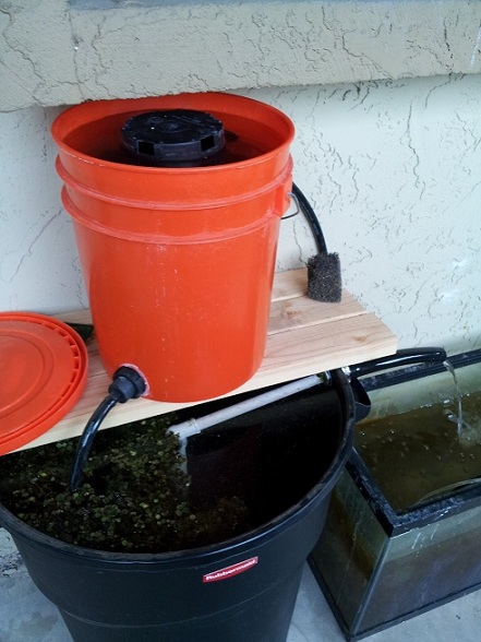 2013-02-11 09.35.51.jpg