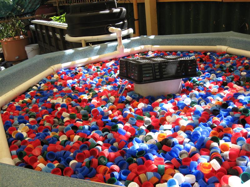 IMG_0247 (Medium).jpg