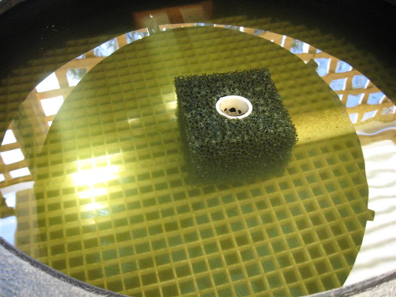 IMG_0248 (Medium).jpg