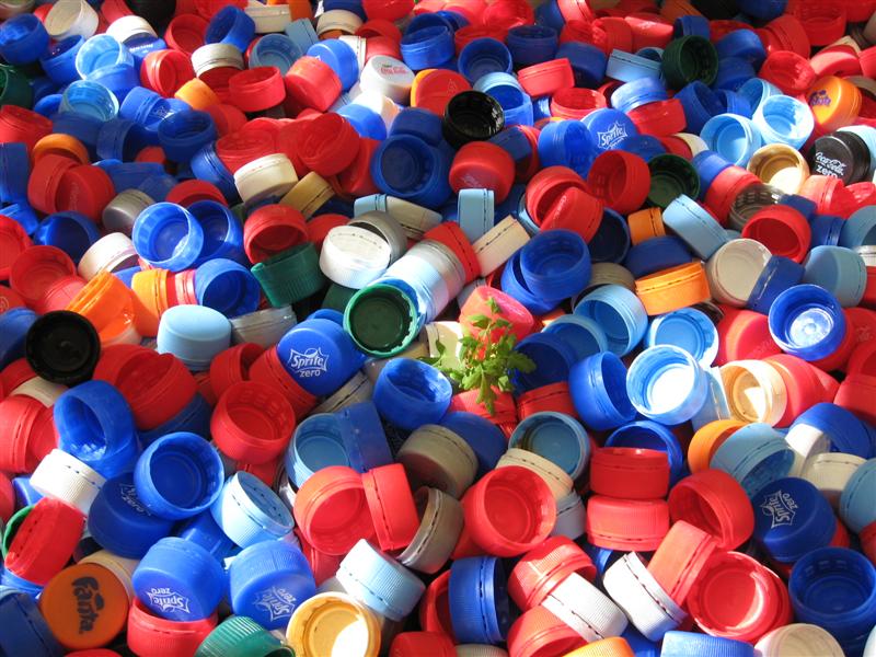 IMG_0249 (Medium).jpg