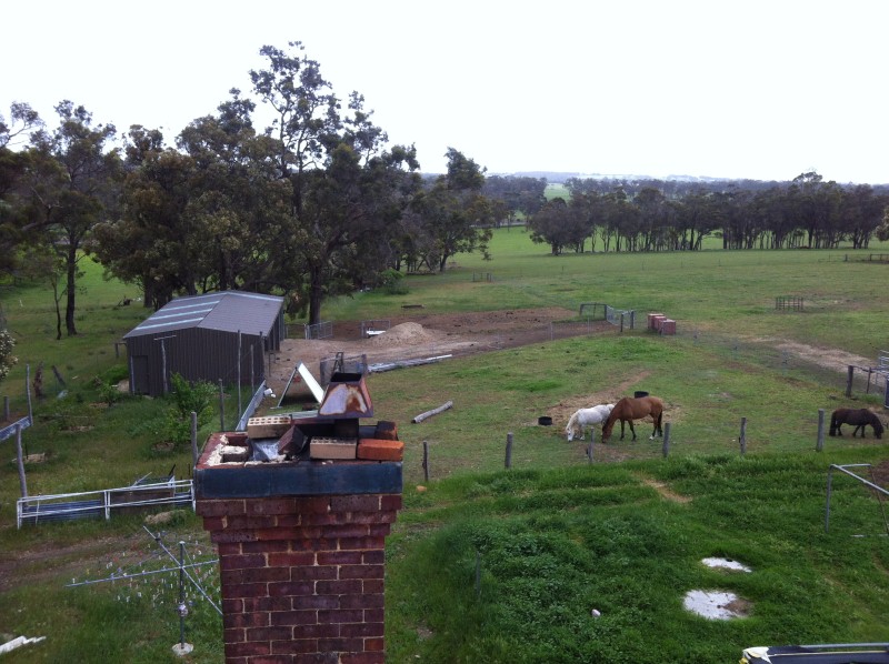 IMG_1843 (Custom).JPG