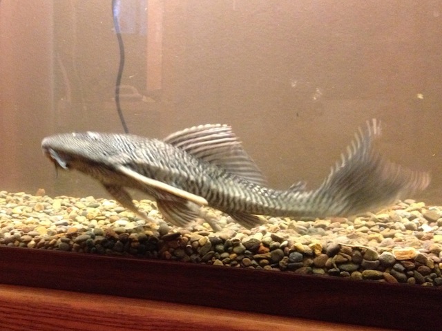 2013-02-13 08.36.39.jpg