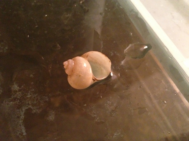 2013-02-10 20.34.36.jpg